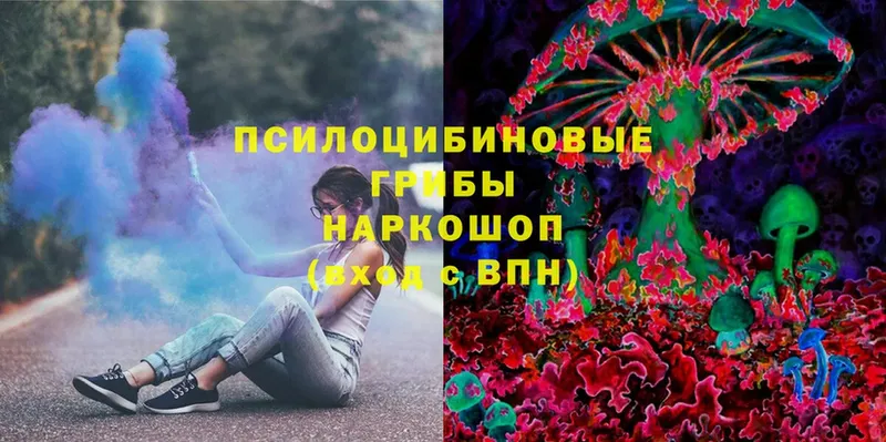 Галлюциногенные грибы Psilocybe  закладки  Бабаево 